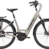 Trek District+ 9 2022 -Trek Winkel districtplus9lowstep 21 33187 a primary