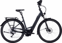 Pegasus Premio EVO 10 Lite Comfort -Trek Winkel pegasus premio evo 10 lite comfort dames zwart