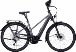 Pegasus Premio EVO 10 Lite Comfort -Trek Winkel pegasus premio evo 10 lite comfort trapeze grijs