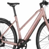 Riese & Müller UBN Seven Silent 2023 -Trek Winkel riese muller ubn seven silent 430 wh rose 51 1