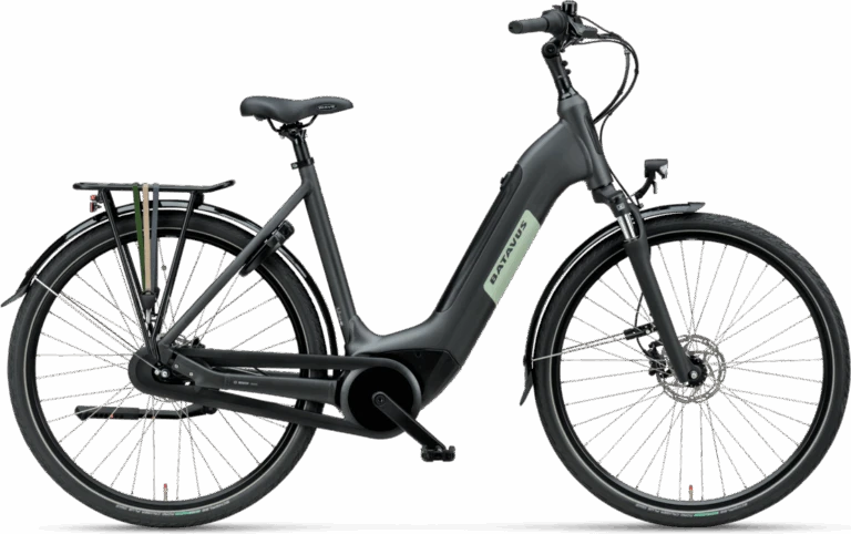 Voorkant -Trek Winkel batavus alture e go power 768x482 1